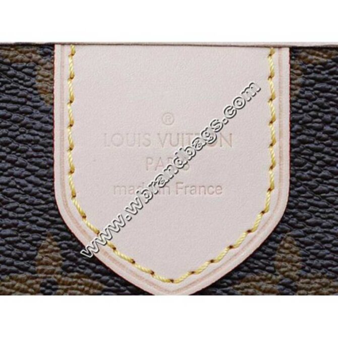 Louis Vuitton Replica 2010 MONOGRAM CANVAS DELIGHTFUL MONOGRAM PM