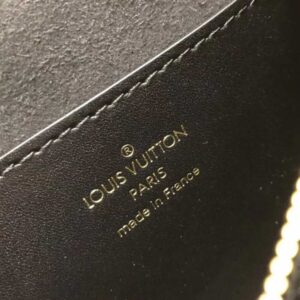 Louis Vuitton Replica Monogram and Monogram Reverse Canvas Dauphine BB Bumbag M68621 2019