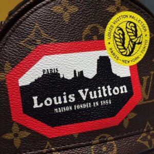 Louis Vuitton Replica PALM SPRINGS BACKPACK MINI M41562